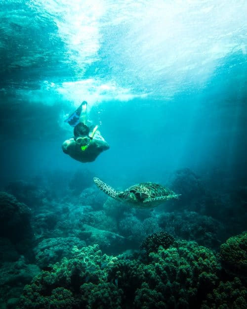 3 Day Siquijor Itinerary - The Ultimate Guide 29 dumaguete tourist spots, things to do in dumaguete, what to see in dumaguete, dumaguete, rizal boulevard, dumaguete itinerary, apo island, apo island snorkelling tour, apo island diving, apo island dumaguete, apo island snorkelling