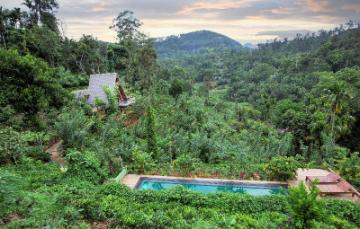 Ravana Falls In Ella, Sri Lanka - Complete Guide (2025) 14 66b44963bfbd8963a299e9d296231a83