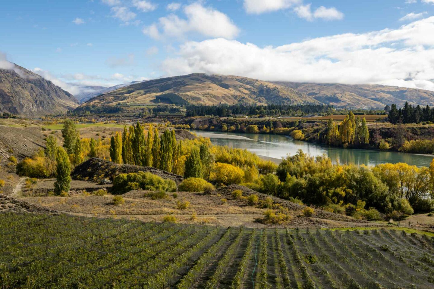 appellation wine tour 9