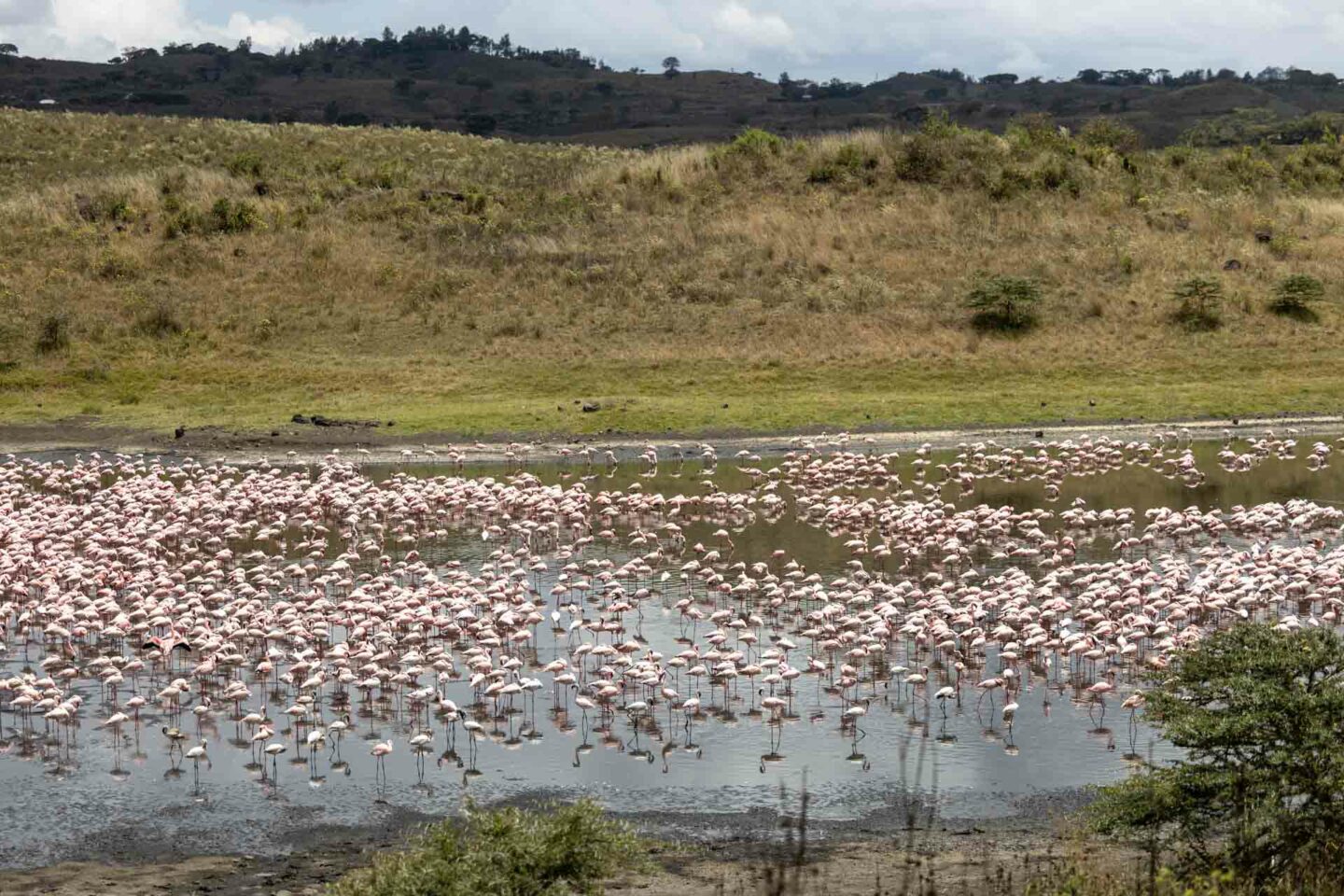 Arusha National Park 12