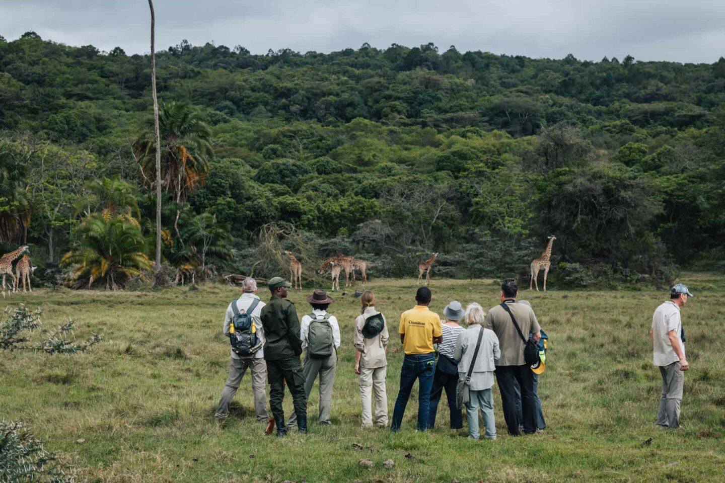 3 day tanzania safari, 3 day safari tanzania