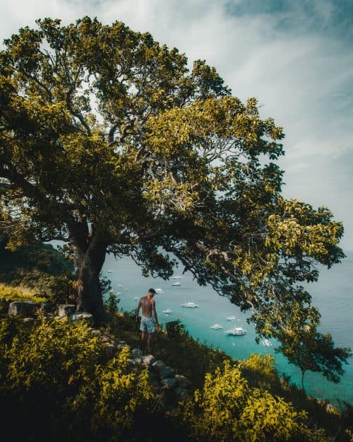 dumaguete tourist spots, things to do in dumaguete, what to see in dumaguete, dumaguete, rizal boulevard, dumaguete itinerary, apo island, apo island snorkelling tour, apo island diving, apo island dumaguete, apo island snorkelling