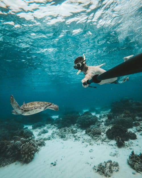 virgin island bohol, balicasag island, balicasag island snorkeling, balicasag snorkeling, bohol beach, bohol tourist spot, virgin island panglao, virgin island panglao bohol, balicasag island hopping, bohol snorkeling, balicasag bohol, bohol island hopping rates, panglao island hopping, bohol island hopping tour, virgin island bohol philippines, best beaches in bohol, panglao island hopping tour, snorkeling panglao, balicasag island blog, panglao to balicasag island