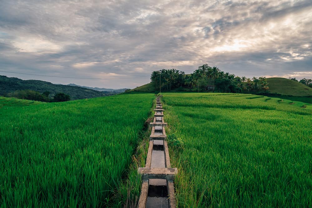 candapdapan rice terraces, bohol rice terraces, bohol tour, panglao bohol, bohol day tour, bohol trip, things to do in bohol, bohol travel, what to do in bohol, where to go in bohol, bohol attractions, bohol map, places to visit in bohol, bohol island tour, bohol tourist attractions, bohol travel guide, bohol to cebu, bohol tourist spots list, bohol chocolate hills tour, what to see in bohol, bohol philippines map, how to get to bohol, beautiful places in bohol, bohol spots, places to go in bohol, best places in bohol, places in bohol, bohol guide, bohol pictures, bohol tourist map, bohol what to do, bohol places to visit, best of bohol, beautiful spots in bohol