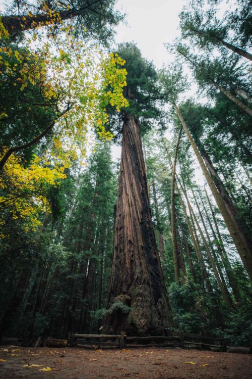 southwest road trip, southwest usa road trip, usa southwest road trip