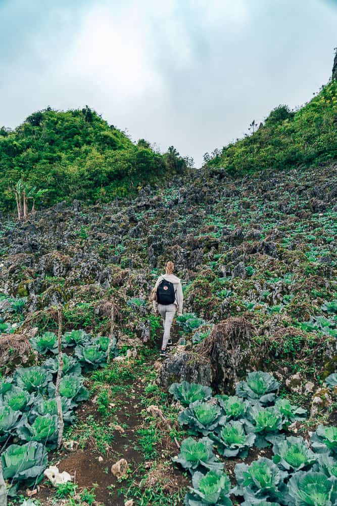 Casino peak, casino peak Cebu, lugsangan peak, osmena peak, things to do in cebu, cebu tourist spots, cebu itinerary, south cebu itinerary, hikes in Cebu, Cebu hiking, south cebu