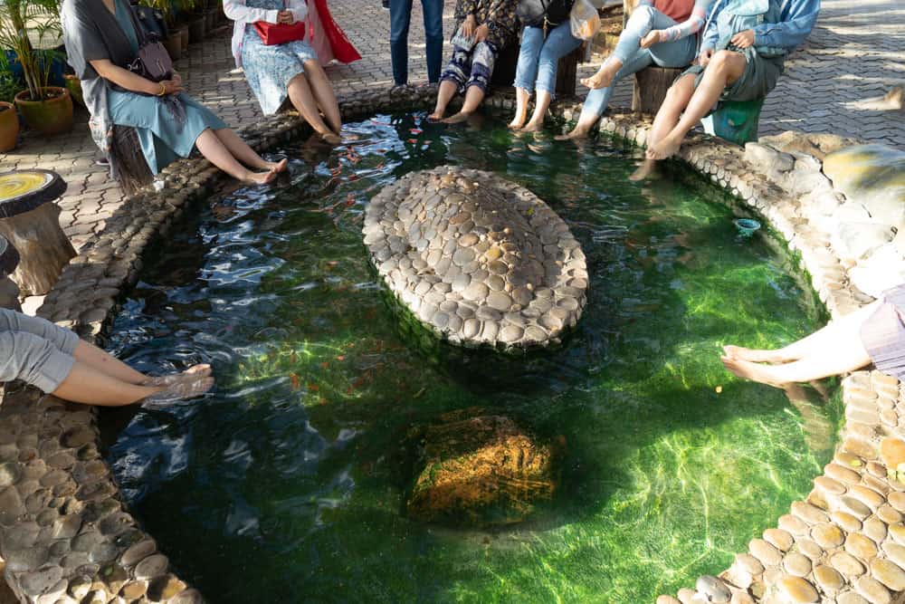 chiang rai tour, things to do in chiang rai, mae kajan hot spring