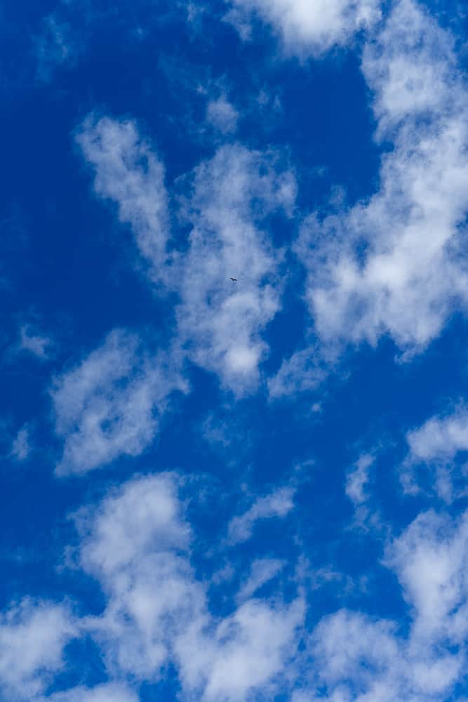 colca canyon tour, colca canyon trek, colca canyon tour 1 day, colca canyon trekking, cruz del condor, colca canyon day tour, colca canyon day trip, colca canyon 1 day tour, colca canyon one day tour, best colca canyon tour, visit colca canyon, colca canyon peru, colca canyon condors, tour colca, colca arequipa, colca canyon depth, tours arequipa colca, arequipa colca canyon tour, arequipa colca canyon, colca peru, canyon del colca, cusco to arequipa, colca canyon entrance fee, colca canyon tours from arequipa, colca canyon altitude, colca canyon arequipa, colca canyon map, colca canyon weather, tour colca canyon arequipa, arequipa to colca canyon bus, colca canyon day tour from arequipa, canyon colca tour, valle del colca, tour colca canyon, tours colca canyon, colca canyon tours, colca canyon condor, map of colca canyon, colca canyon in peru, tours of colca canyon, altitude colca canyon, weather in colca canyon, 1 day colca canyon tour, altitude of colca canyon, arequipa to colca canyon, tour arequipa colca canyon, colca canyon from arequipa, colca tour, colca tours, colca canyon tour from arequipa