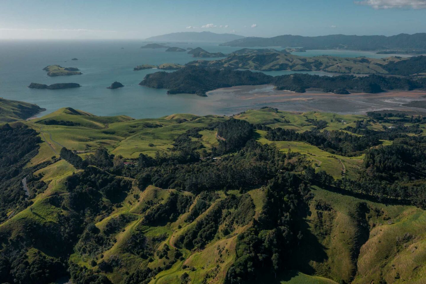 coromandel 6