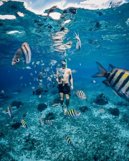 15 BEST Things To Do In Exmouth, Australia (2025 GUIDE) 23 things to do in cozumel, what to do in cozumel, things to do in cozumel mexico, cozumel tours, cozumel things to do, cozumel activities, cozumel mexico things to do, cozumel attractions, cozumel beaches, best things to do in cozumel, cozumel snorkeling, best beaches in cozumel, cozumel jeep tour, best snorkeling in cozumel