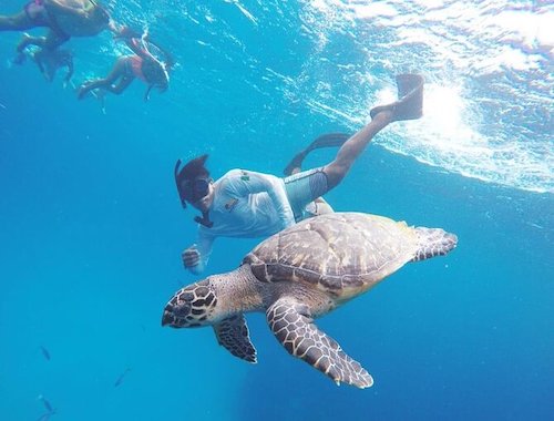 Cozumel Snorkeling Tour