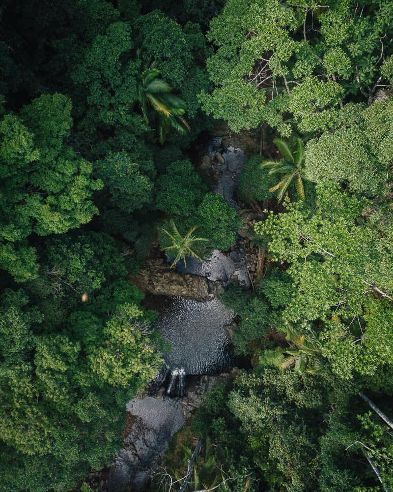 cougal cascades, cougal, cougal cascades currumbin, currumbin rockpools, currumbin rock pools, currumbin rock pools gold coast, currumbin valley rock pools, currumbin creek, currumbin waterfalls, currumbin waterfall, currumbin valley