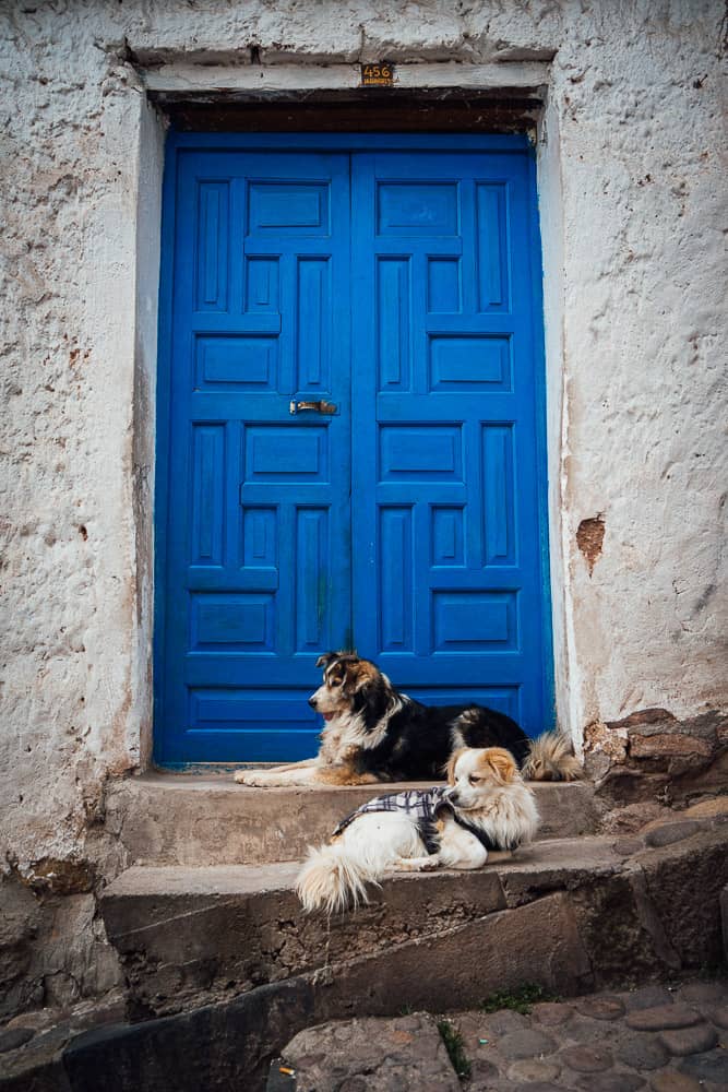 things to do in cusco, what to do in cusco, things to do in cusco peru, what to do in cusco peru, tours cusco, cusco hotels, hostel cusco, cusco what to do, cusco turismo, what to see in cusco, cusco city tour, hotel cusco peru, lima to cusco flights, city tour cusco, hotels in cusco peru, things to see in cusco, cusco attractions, top things to do in cusco, cusco tourist attractions, places to visit in cusco, cusco peru attractions, things to do in cusco on your own, cusco peru things to do, cusco places to visit, things to do in cusco at night, best hotels in cusco, cusco to lima flight, hostal cusco peru, hostel cusco peru, things to do near cusco, cusco peru turismo, where to stay in cusco, to do in cusco, cusco what to see, fun things to do in cusco, day trips from cusco, cusco day tours, cusco guide, cusco airport, best things to do in cusco peru, best hostels in cusco, cusco day trips, walking tour cusco, machu picchu tours from cusco, cuzco perù, best hotels in cusco peru, cusco map, cusco travel guide, best places to stay in cusco, travel to cusco peru, cusco peru nightlife, things to do in peru cusco, best things to do cusco, things to do cusco peru, altitude in cusco, best places to eat in cusco, attractions in cusco, best hostel in cusco, accommodations in cusco, best place to stay in cusco, climate in cusco, plaza de armas cusco, san blas cusco