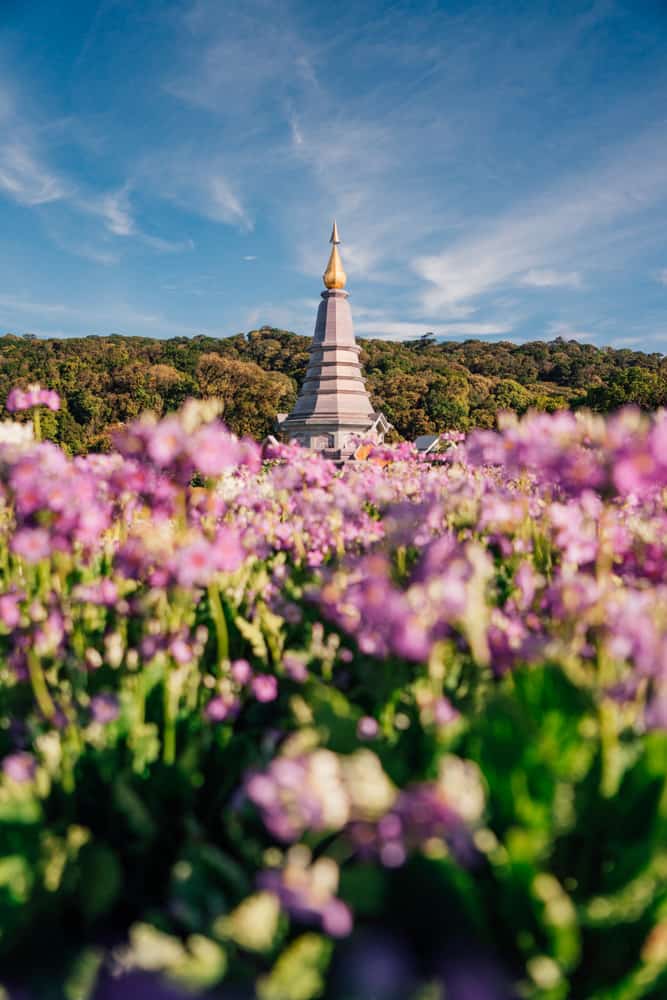 what to do in chiang mai in 3 days, thigns to do in chiang mai, best things to do in chiang mai, doi inthanon national park, great holy relics temple