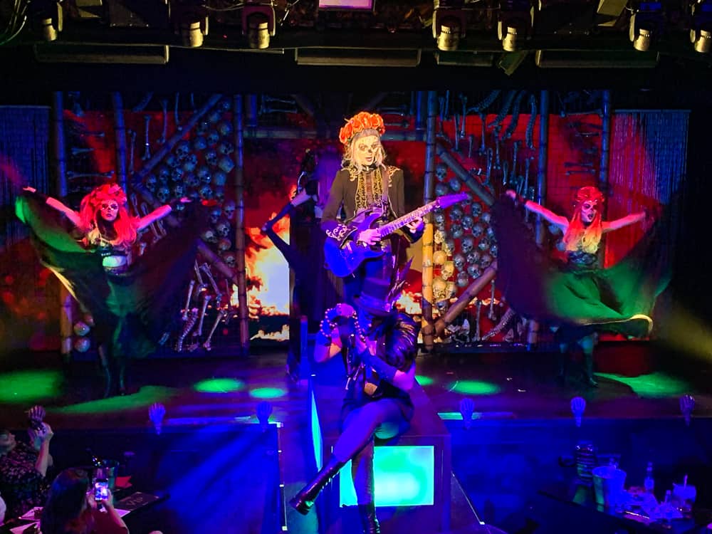 draculas gold coast 7