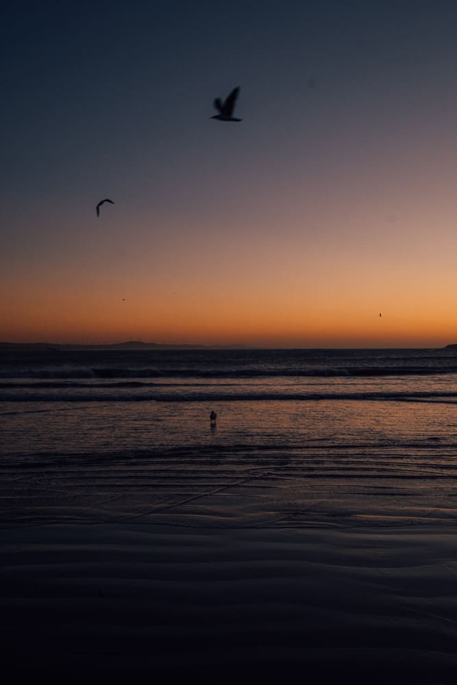 things to do in essaouria, what to do in essaouira, essaouira things to do, essaouira guide, what to do in essaouria