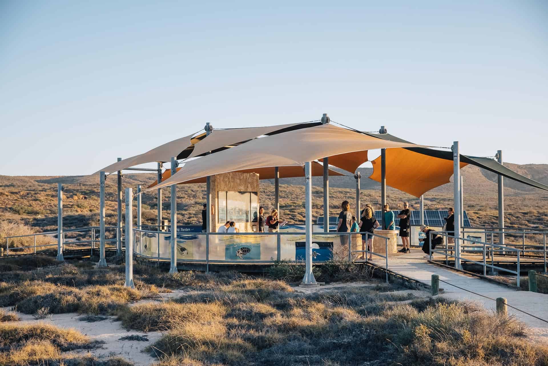 jurabi turtle centre, exmpouth turtles, things to do in exmouth, exmouth western australia, what to do in exmouth, exmouth things to do