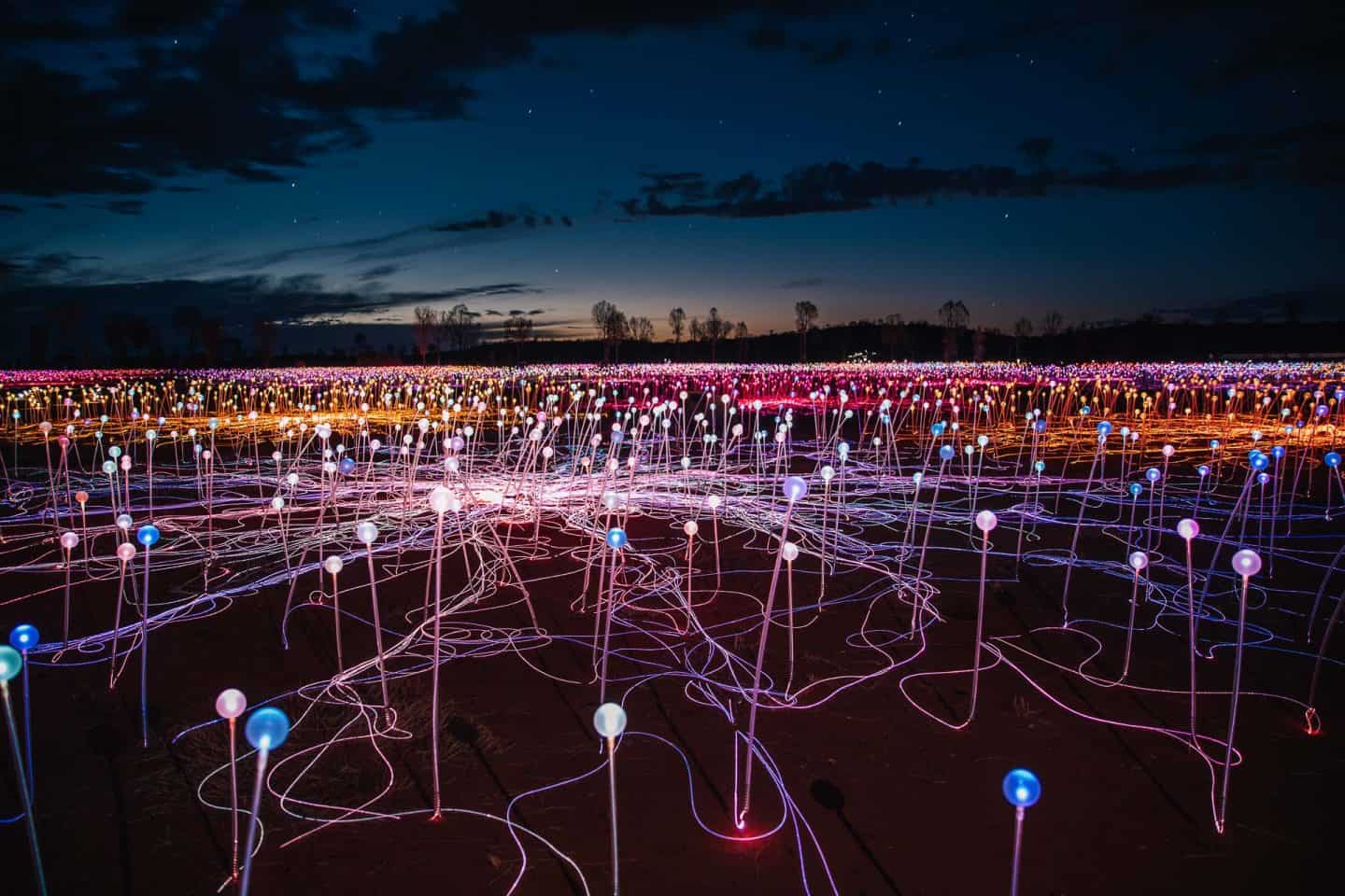 uluru, things to do in uluru, field of light uluru