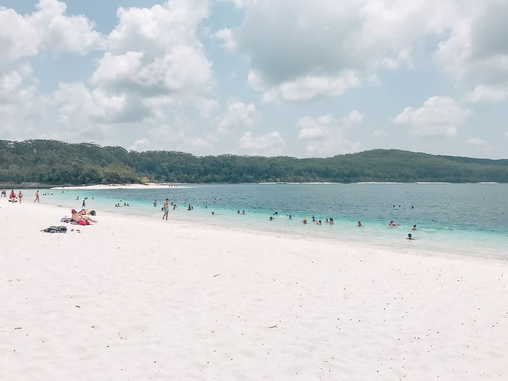 Tours 1 fraser island day trip