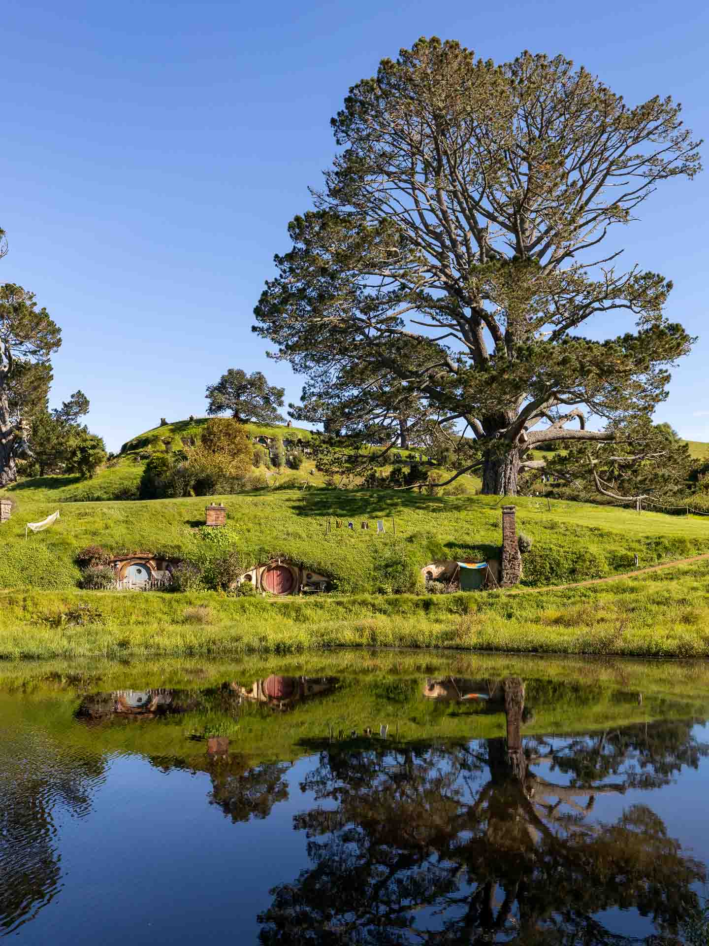 hobbiton nz