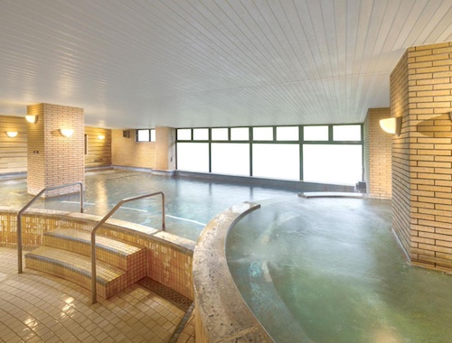 Hotel Green Plaza in Hakuba