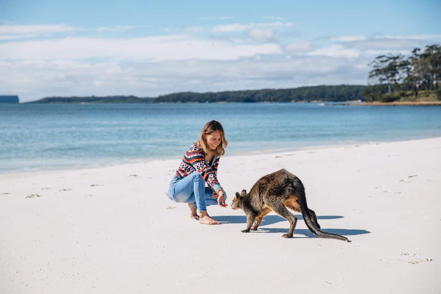 things to do in jervis bay , jervis bay things to do, jervis bay activities, jervis bay attractions, jervis bay camping, jervis bay holiday park, things to do jervis bay, things to do at jervis bay, what to do in jervis bay, whale watching in jervis bay, beaches in jervis bay, accommodation in jervis bay, beaches at jervis bay, whale watching jervis bay