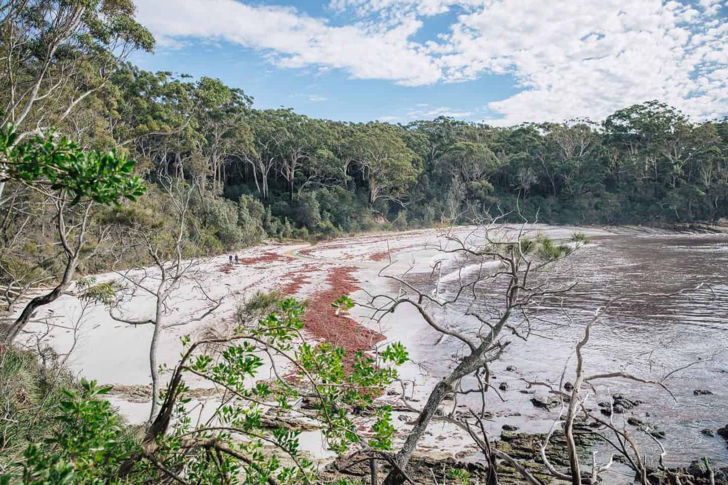 things to do in jervis bay, jervis bay things to do, jervis bay activities, jervis bay attractions, jervis bay camping, jervis bay holiday park, things to do jervis bay, things to do at jervis bay, what to do in jervis bay, beaches in jervis bay, accommodation in jervis bay, beaches at jervis bay, blenheim beach, blenheim beach jervis bay