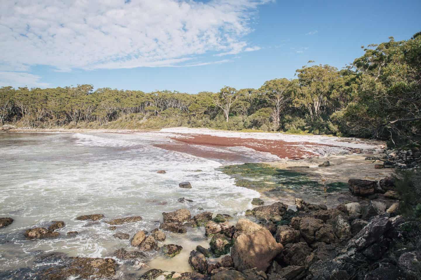 things to do in jervis bay, jervis bay things to do, jervis bay activities, jervis bay attractions, jervis bay camping, jervis bay holiday park, things to do jervis bay, things to do at jervis bay, what to do in jervis bay, beaches in jervis bay, accommodation in jervis bay, beaches at jervis bay, greenfield beach, greenfield beach jervis bay