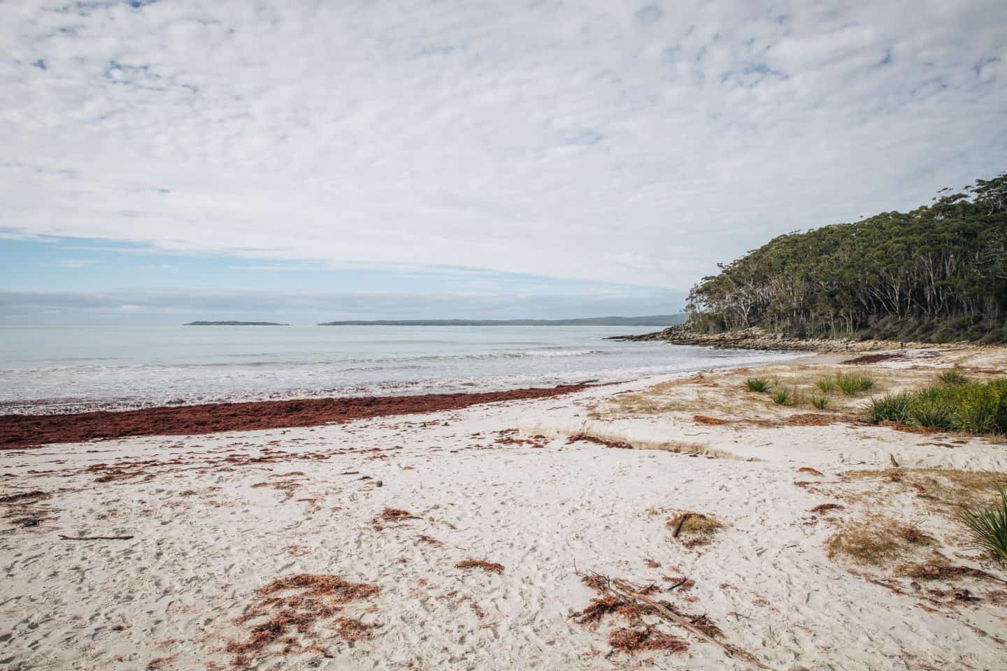 things to do in jervis bay, jervis bay things to do, jervis bay activities, jervis bay attractions, jervis bay camping, jervis bay holiday park, things to do jervis bay, things to do at jervis bay, what to do in jervis bay, beaches in jervis bay, accommodation in jervis bay, beaches at jervis bay, greenfield beach, greenfield beach jervis bay