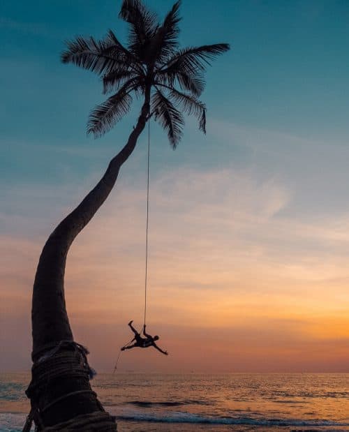 2 Week Sri Lanka Itinerary - The Ultimate Guide 18 instafamous rope swing, palm tree rope swing sri lanka, palm tree rope swing, dalawella beach, unawatuna, unawatuna beach, dream cabana, dalawella rope swing