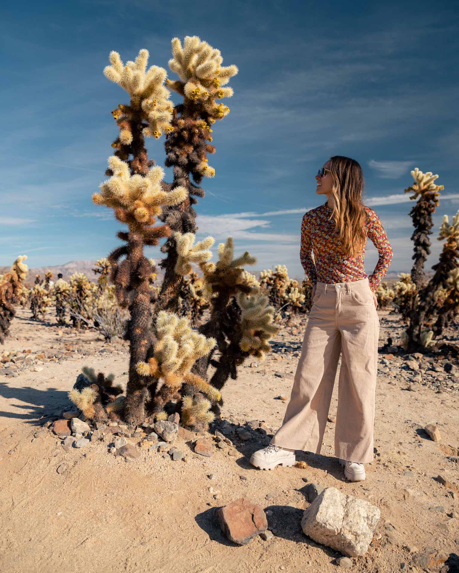 southwest road trip, southwest usa road trip, usa southwest road trip