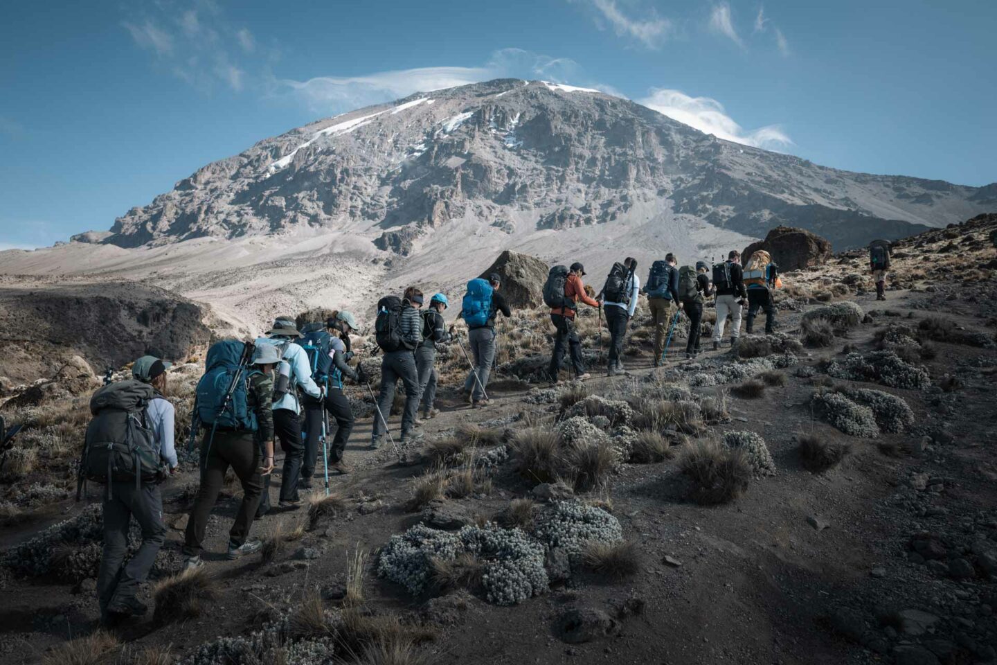 Kilimanjaro Hike 195