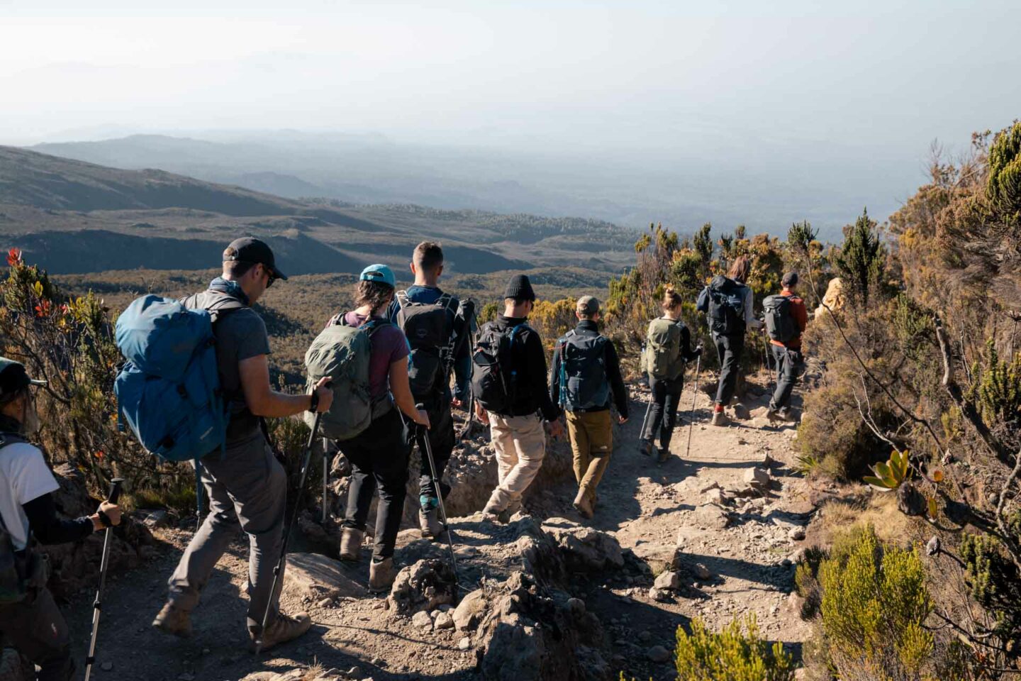 Kilimanjaro Hike 264