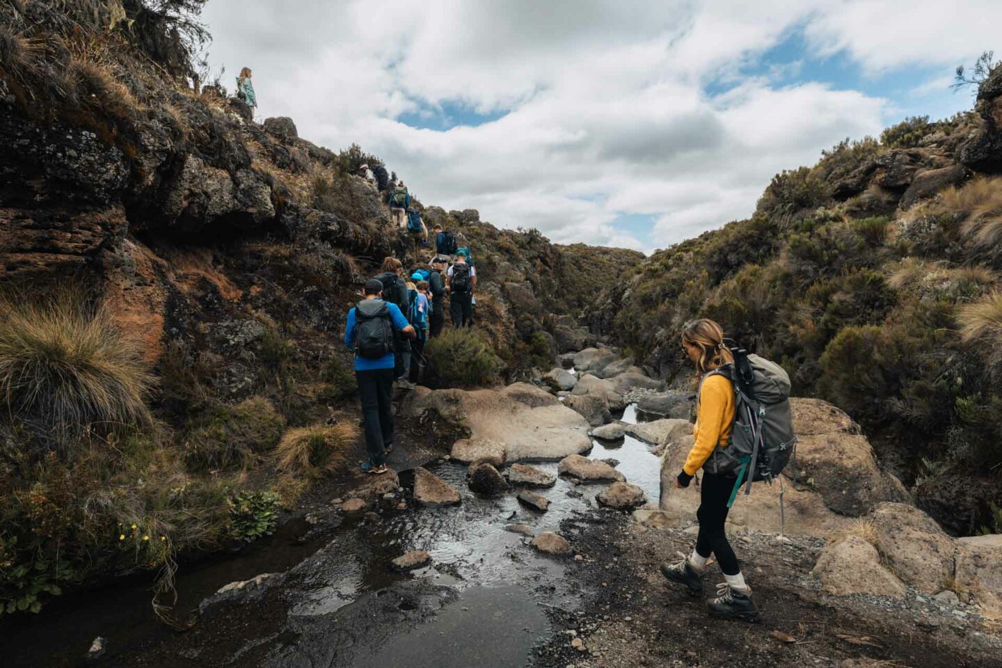 Kilimanjaro Hike 40