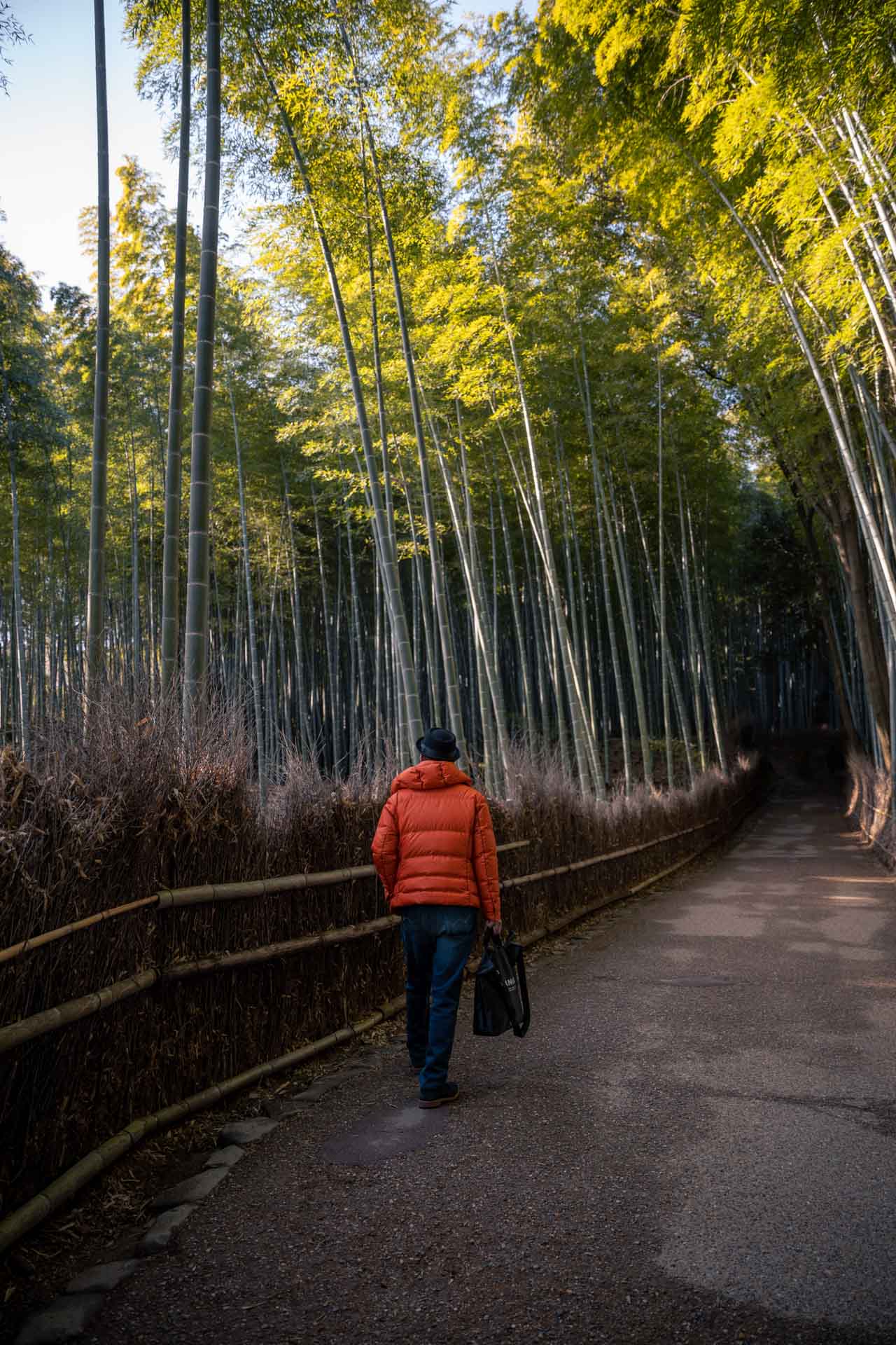 kyoto 9