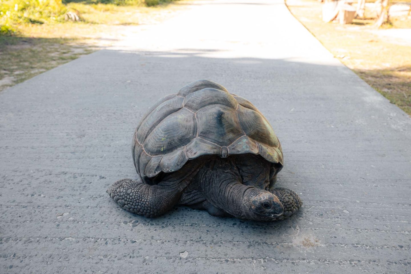 la digue, la digue island, la digue seychelles, things to do in la digue