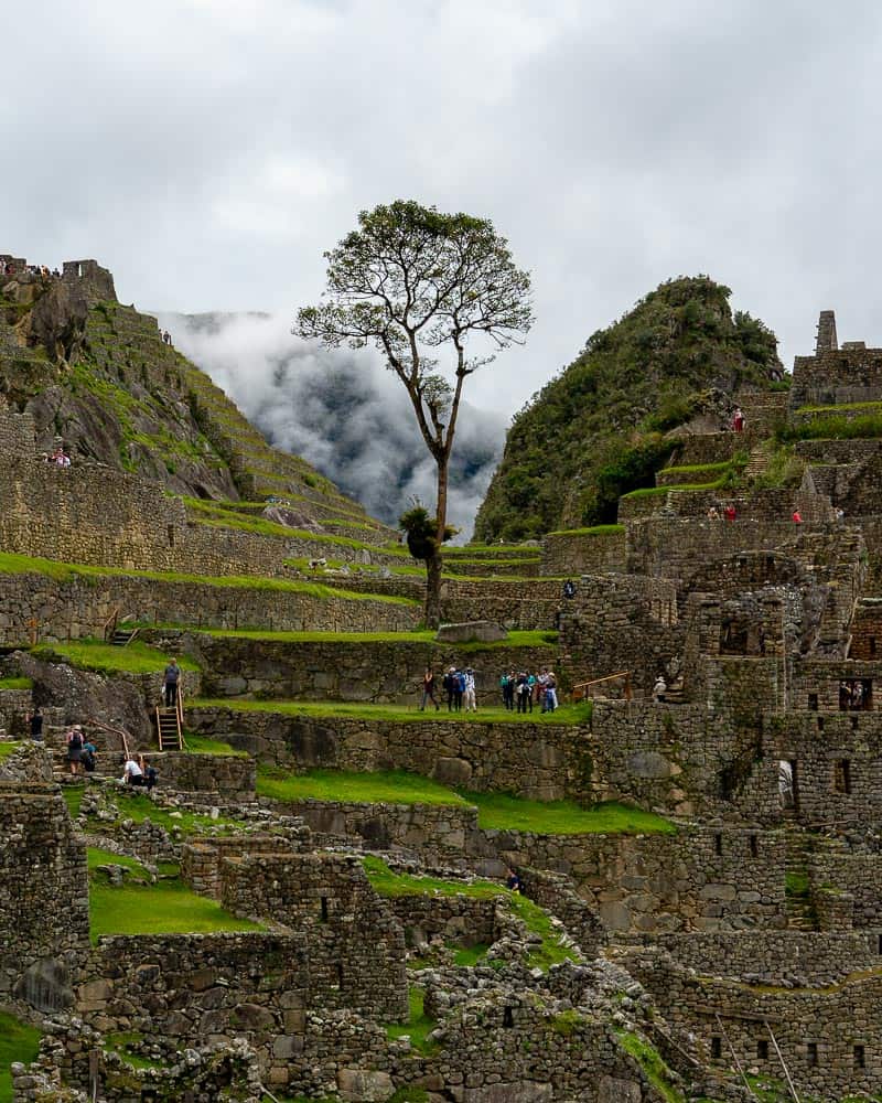 trekking machu picchu, how high is machu picchu, where is machu picchu located, climbing machu picchu, machu picchu holiday, machu picchu tour package, machu picchu guide, machu picchu mountain, getting to machu picchu, machu picchu travel guide, machu picchu itinerary, machu picchu ruins, tour machu picchu, where to stay in machu picchu, machu picchu hotels, train to machu picchu, machu picchu trip cost, how to get to machu picchu, machu picchu tours from cusco, machu picchu day tours, machu picchu turismo, machu picchu cusco, machu picchu train tickets, machu picchu images, things to do in machu picchu, machu picchu elevation, machu picchu altitude, machu picchu video, peru machu picchu map, planning a trip to machu picchu