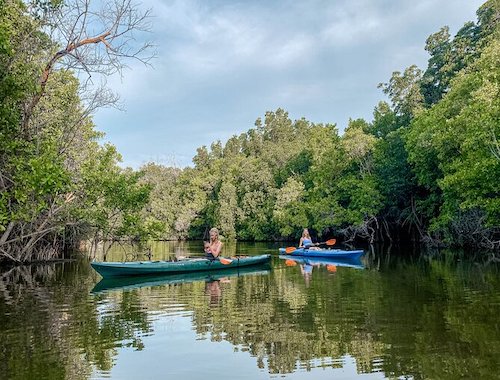 MANGROVE KAYAKING TOUR PUERTO ESCONDIDO