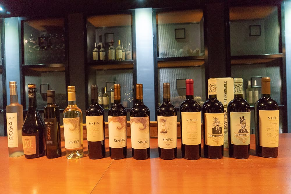 The BEST Mendoza Wine Tour: A Complete Guide 1 mendoza argentina 10