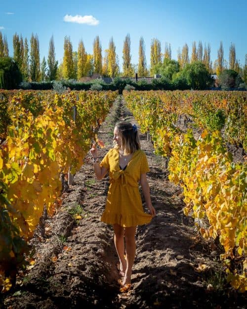 The BEST Mendoza Wine Tour: A Complete Guide 3 mendoza wine tours, mendoza wine, mendoza tours, wine tasting mendoza, argentina red wine, malbec wine argentina, mendoza wine region, best argentinian malbec, best wine tours mendoza, best argentinian wine, hotels in mendoza argentina, best wineries in mendoza, where to stay in mendoza, tour mendoza, things to do in mendoza, mendoza things to do, mendoza argentina map, where is mendoza, mendoza tour, mendoza wine argentina, best mendoza wines, best mendoza wineries, argentina mendoza weather, wine tours mendoza