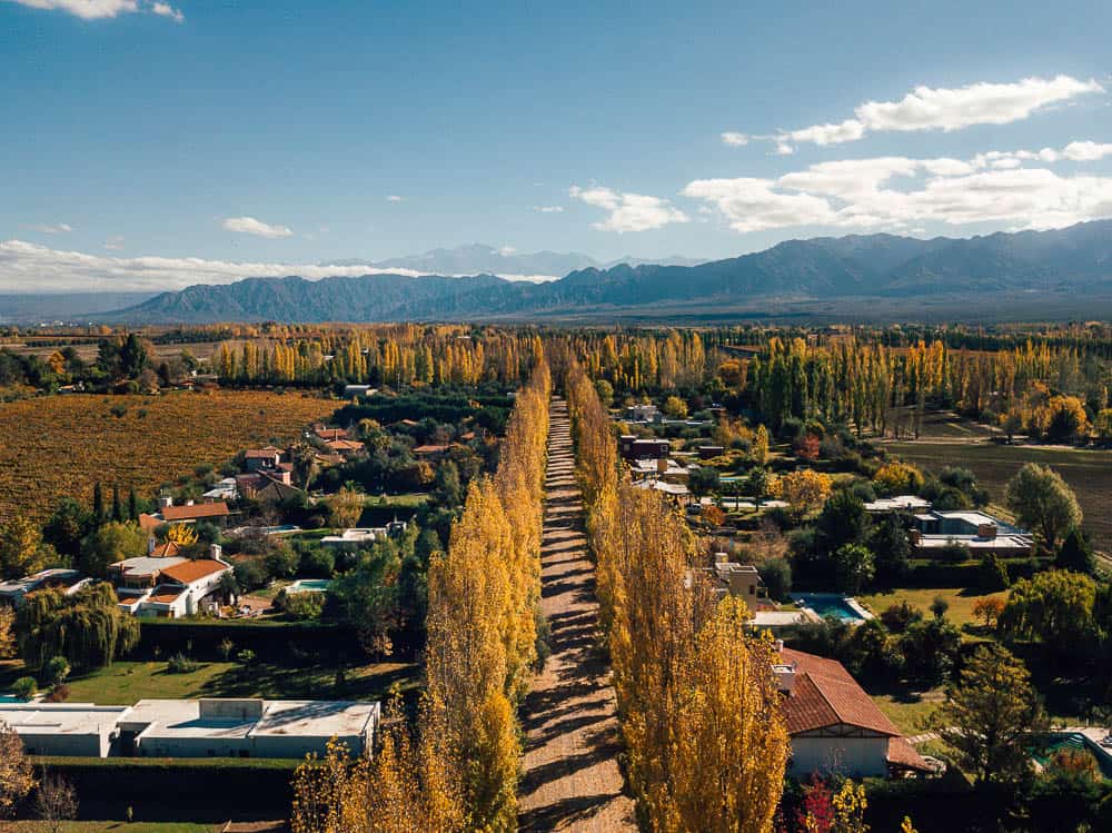 mendoza wine tours, mendoza wine, mendoza tours, wine tasting mendoza, argentina red wine, malbec wine argentina, mendoza wine region, best argentinian malbec, best wine tours mendoza, best argentinian wine, hotels in mendoza argentina, best wineries in mendoza, where to stay in mendoza, tour mendoza, things to do in mendoza, mendoza things to do, mendoza argentina map, where is mendoza, mendoza tour, mendoza wine argentina, best mendoza wines, best mendoza wineries, argentina mendoza weather, wine tours mendoza, argentina