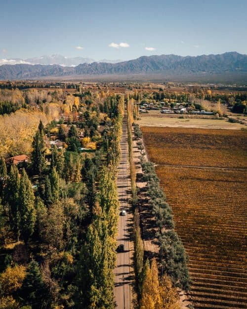 The BEST Mendoza Wine Tour: A Complete Guide 2 mendoza wine tours, mendoza wine, mendoza tours, wine tasting mendoza, argentina red wine, malbec wine argentina, mendoza wine region, best argentinian malbec, best wine tours mendoza, best argentinian wine, hotels in mendoza argentina, best wineries in mendoza, where to stay in mendoza, tour mendoza, things to do in mendoza, mendoza things to do, mendoza argentina map, where is mendoza, mendoza tour, mendoza wine argentina, best mendoza wines, best mendoza wineries, argentina mendoza weather, wine tours mendoza