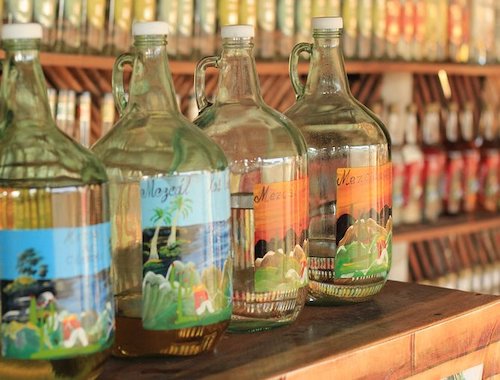 MEZCAL TOUR IN PUERTO ESCONDIDO
