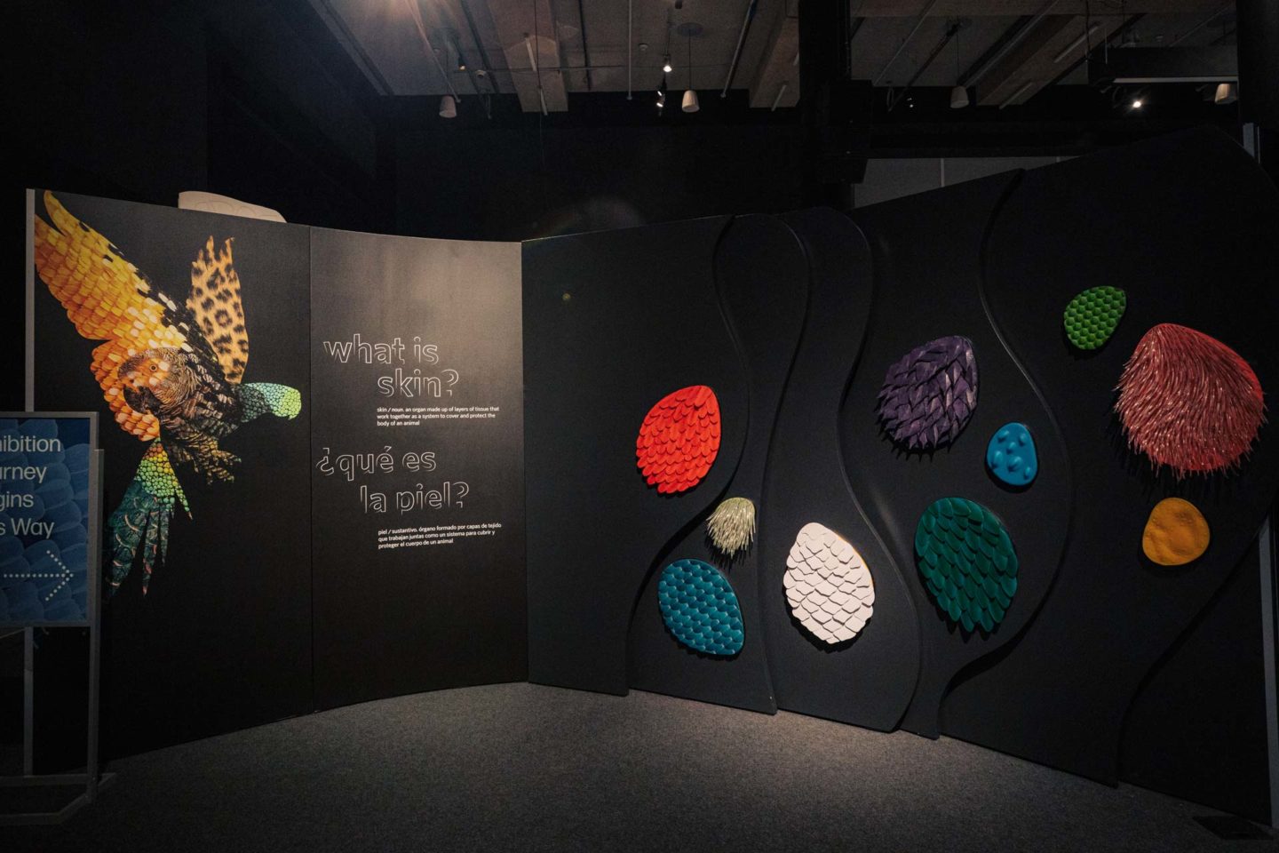 things to do in miami, fun things to do in miami, miami attractions, best things to do in miami, places to visit in miami, places to go in miami, things to do in miami florida