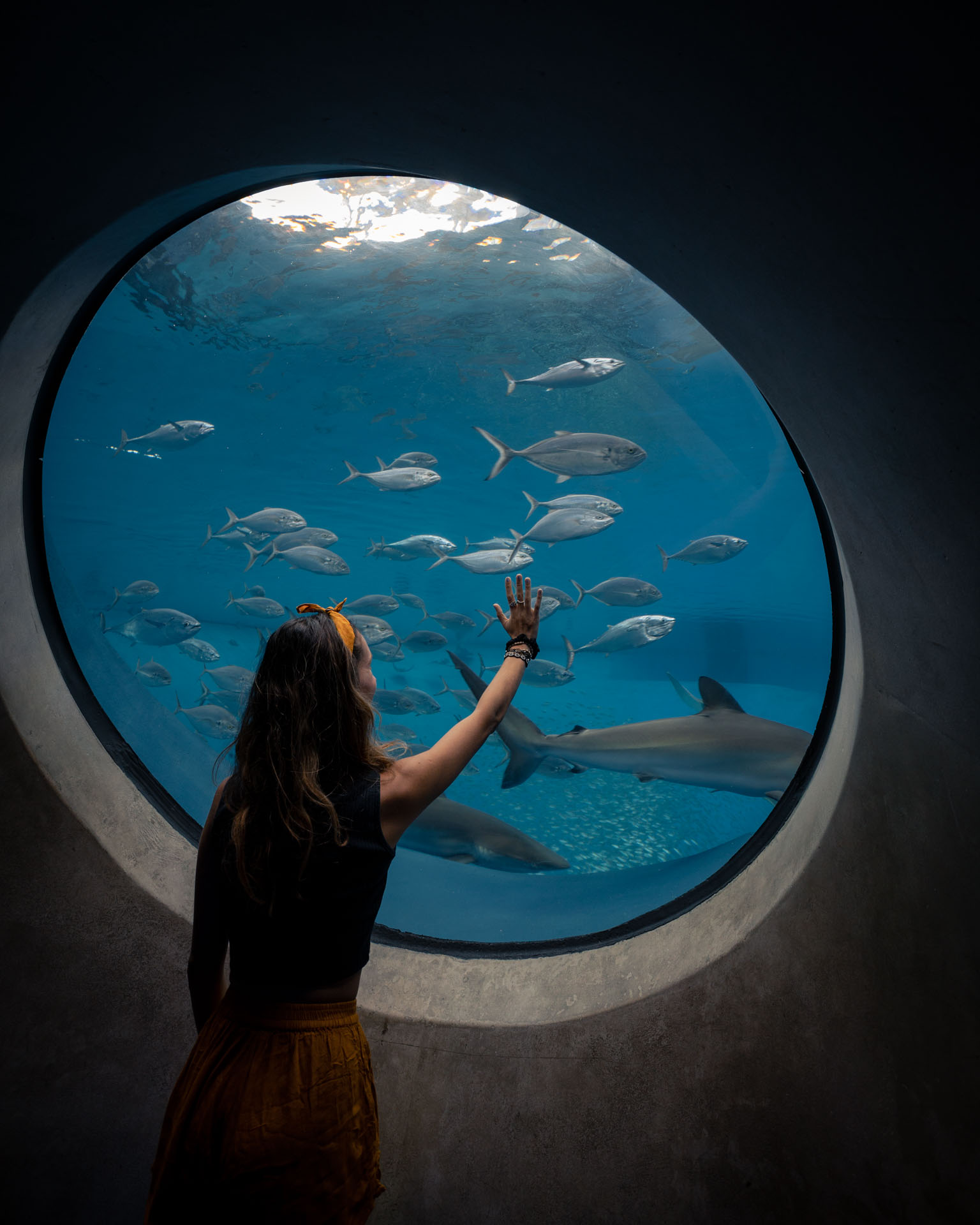 things to do in miami, fun things to do in miami, miami attractions, best things to do in miami, places to visit in miami, places to go in miami, things to do in miami florida