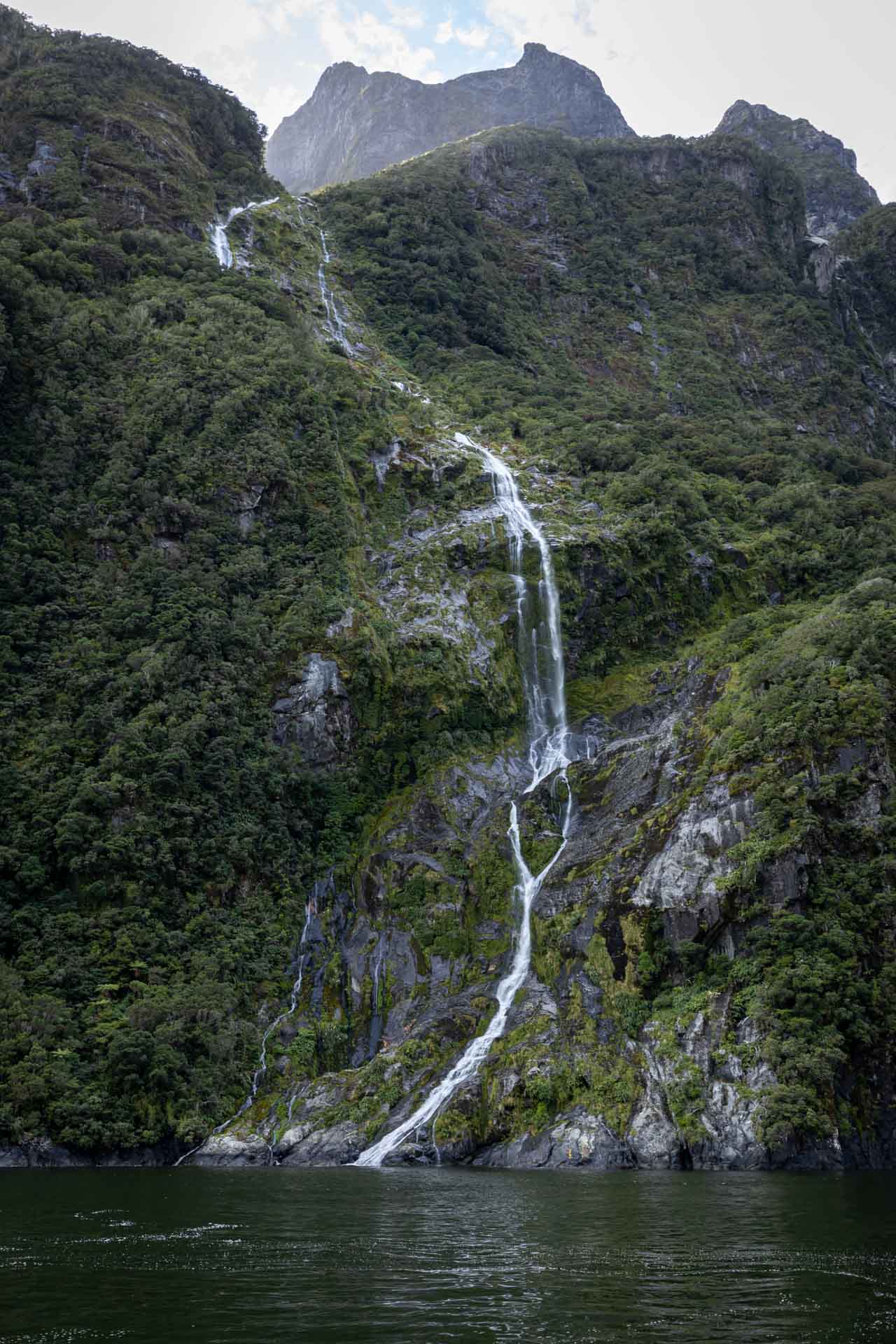 milford sound 41