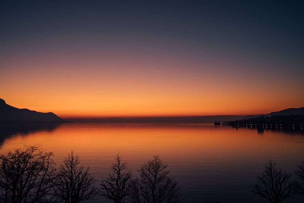 Sunset over Swiss lake and trees