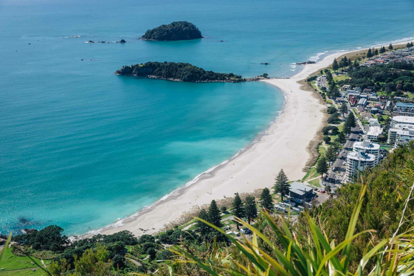 mount maunganui 13