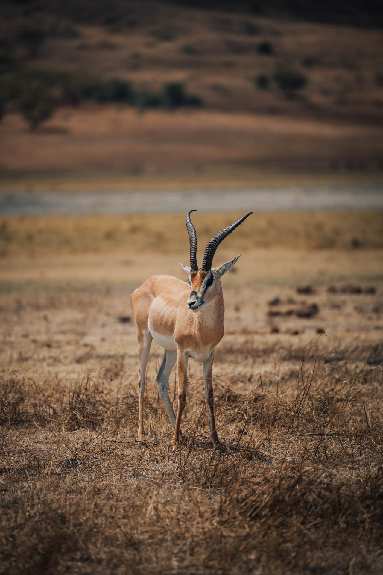 Ngorongoro Crater 28