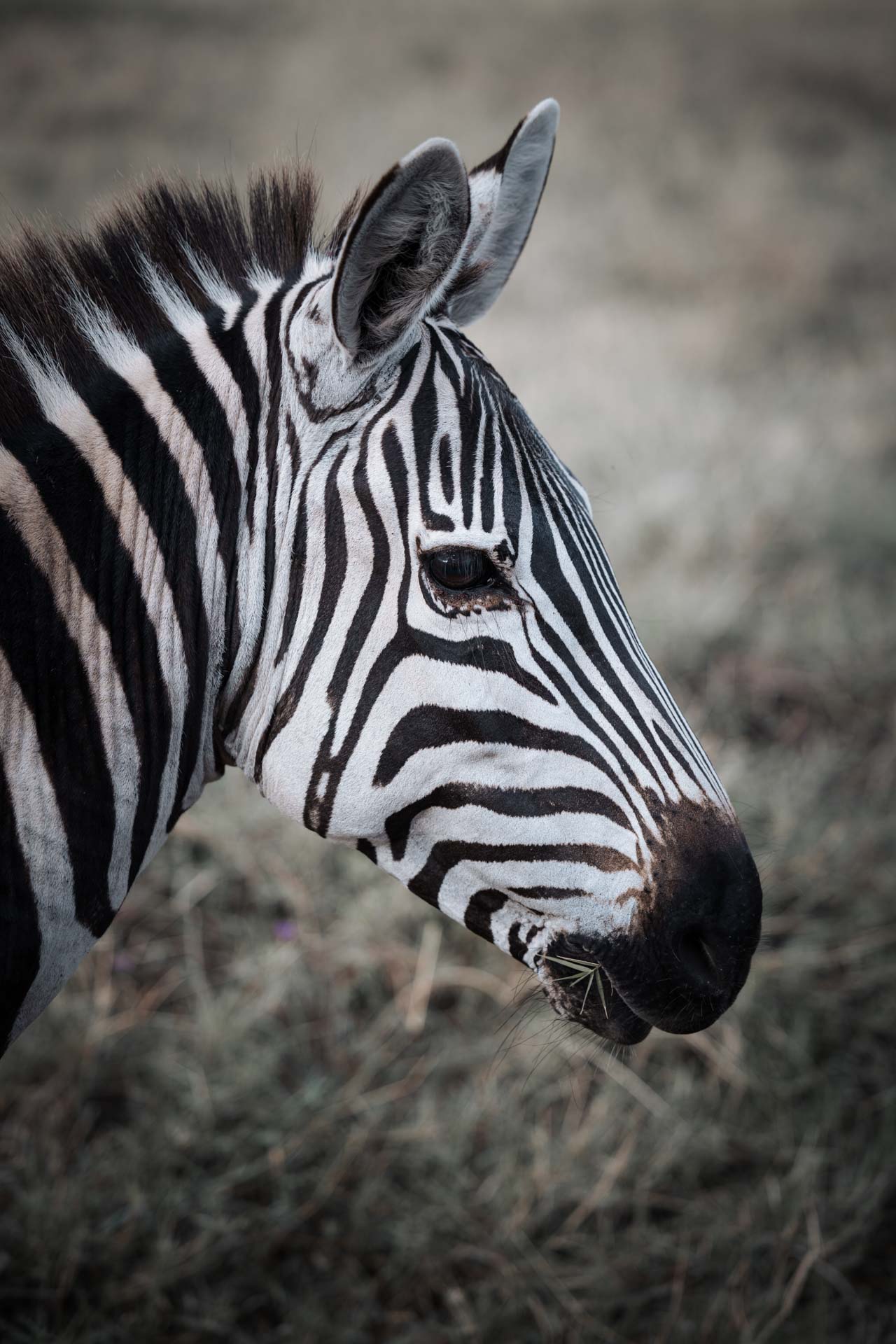 Ngorongoro Crater 9